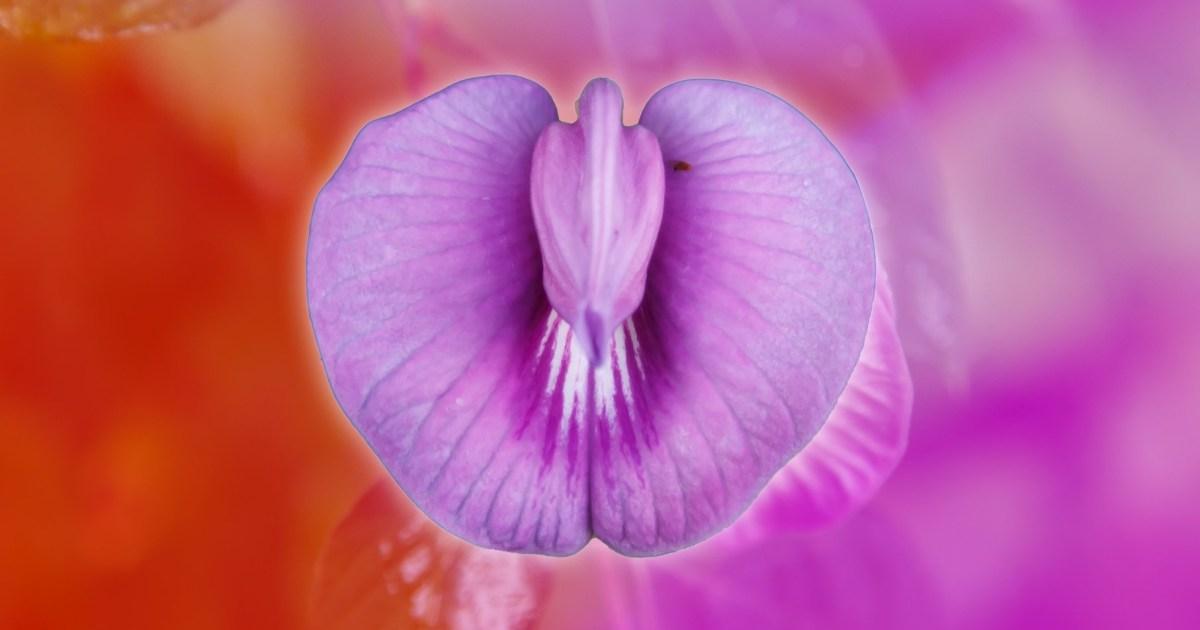 'Ozempic vagina' is here and women are paying £2,000 to reverse it