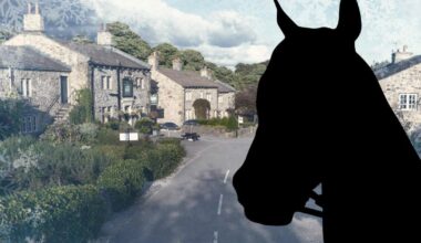 Emmerdale killer gets his comeuppance in death scenes in early ITVX release  | Soaps