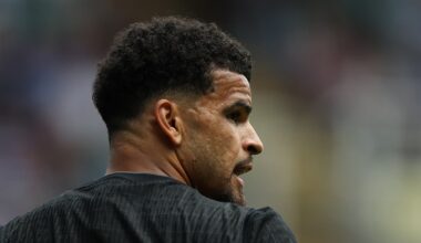 Dominic Solanke drops surprise Tottenham injury return hint - London Evening Standard