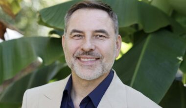 How David Walliams went from Britain's Got Talent judge to author dropped by publisher