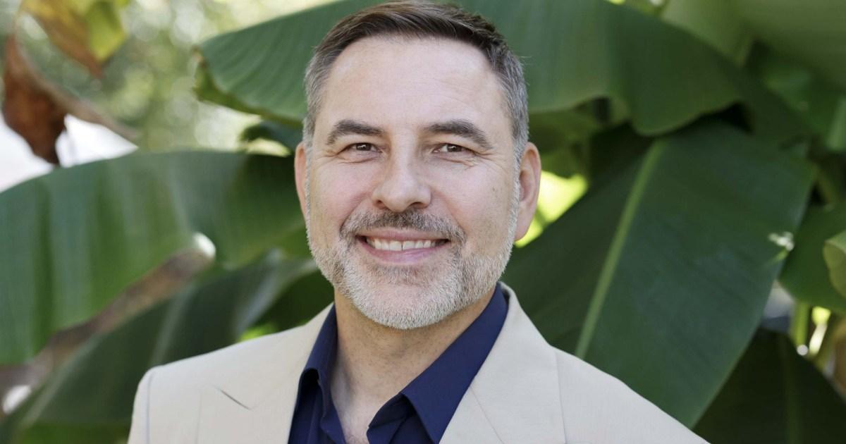 How David Walliams went from Britain's Got Talent judge to author dropped by publisher