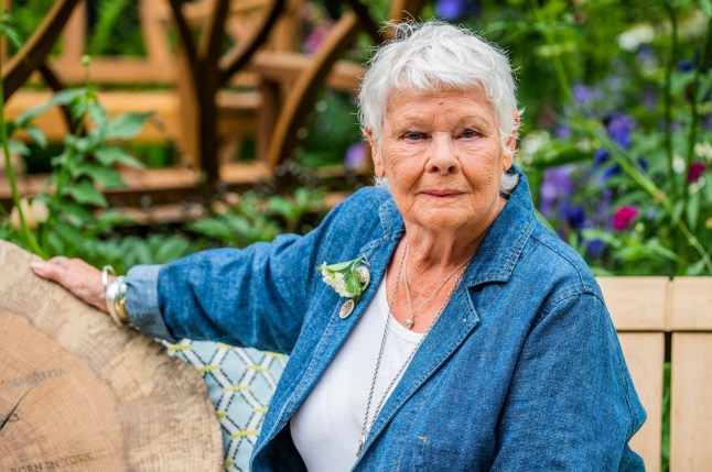Mandatory Credit: Photo by Guy Bell/REX/Shutterstock (12952165ex) Dame Judi Dench launches Woodland Heritage's new campaign promoting the importance of woodland management. She observed the carving of an oak timber round with key dates from her life and career - The 2022 Chelsea Flower Show. The 2022 Chelsea Flower Show., Royal Hospital, Chelsea, London, UK - 23 May 2022