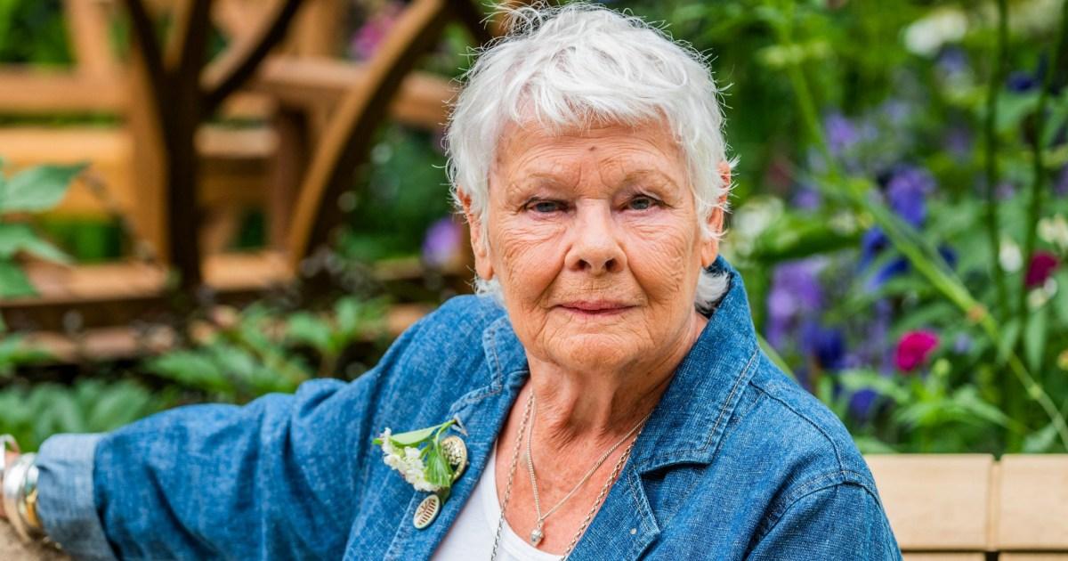 Dame Judi Dench is scared about 'losing the plot' as her health deteriorates