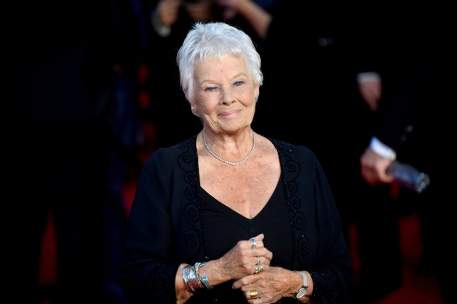 FILE PHOTO: Actor Judi Dench poses during the world premiere of the new James Bond film 