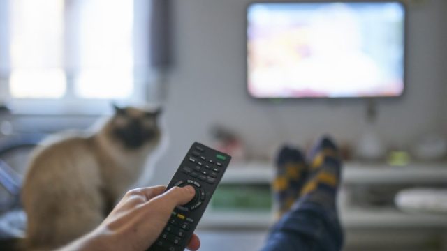 Article thumbnail image