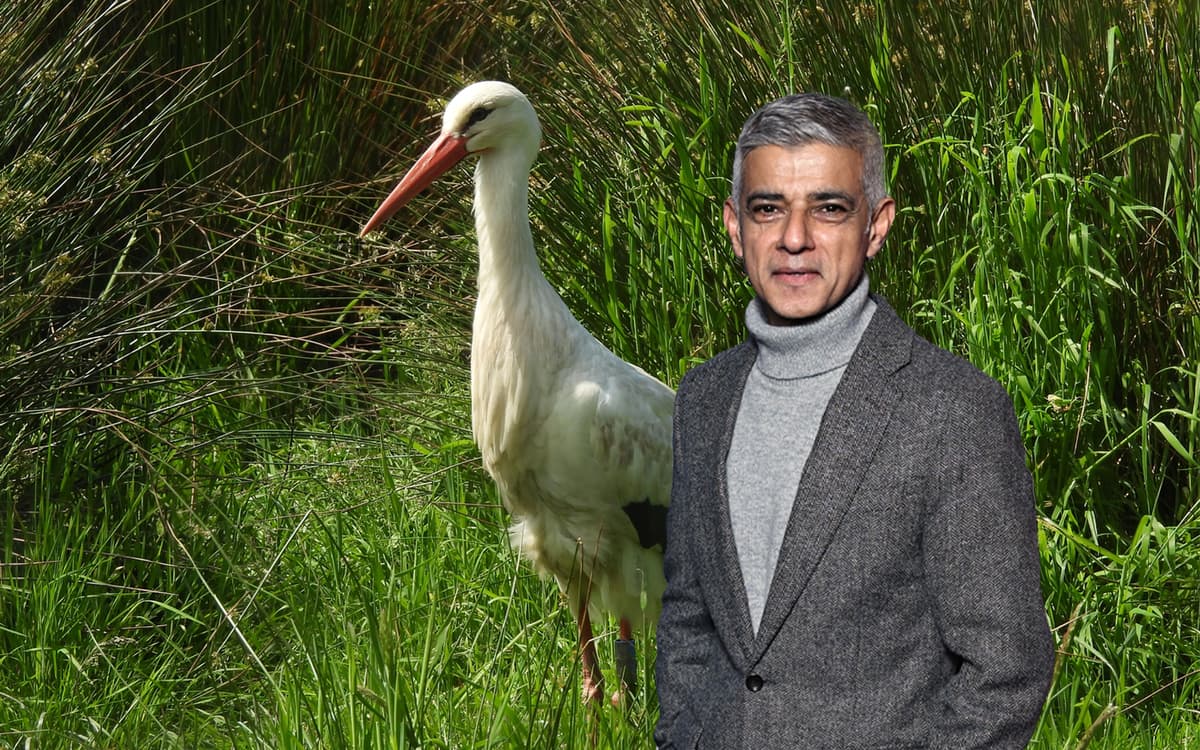 Sadiq Khan: I want to rewild London. First storks, then beavers (yes, really)