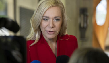 D. Saková: Slovakia will replace gas supplies from Russia with other sources after the EU regulation