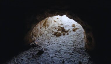 Scientists Found Massive Tunnels In South America, But They Weren’t Made By Humans!