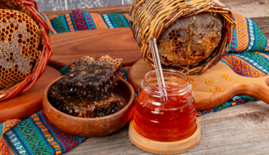 Santa María del Camí wins Spain’s best honey « Euro Weekly News