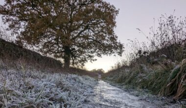 News and Info from Deeside, Flintshire, North Wales