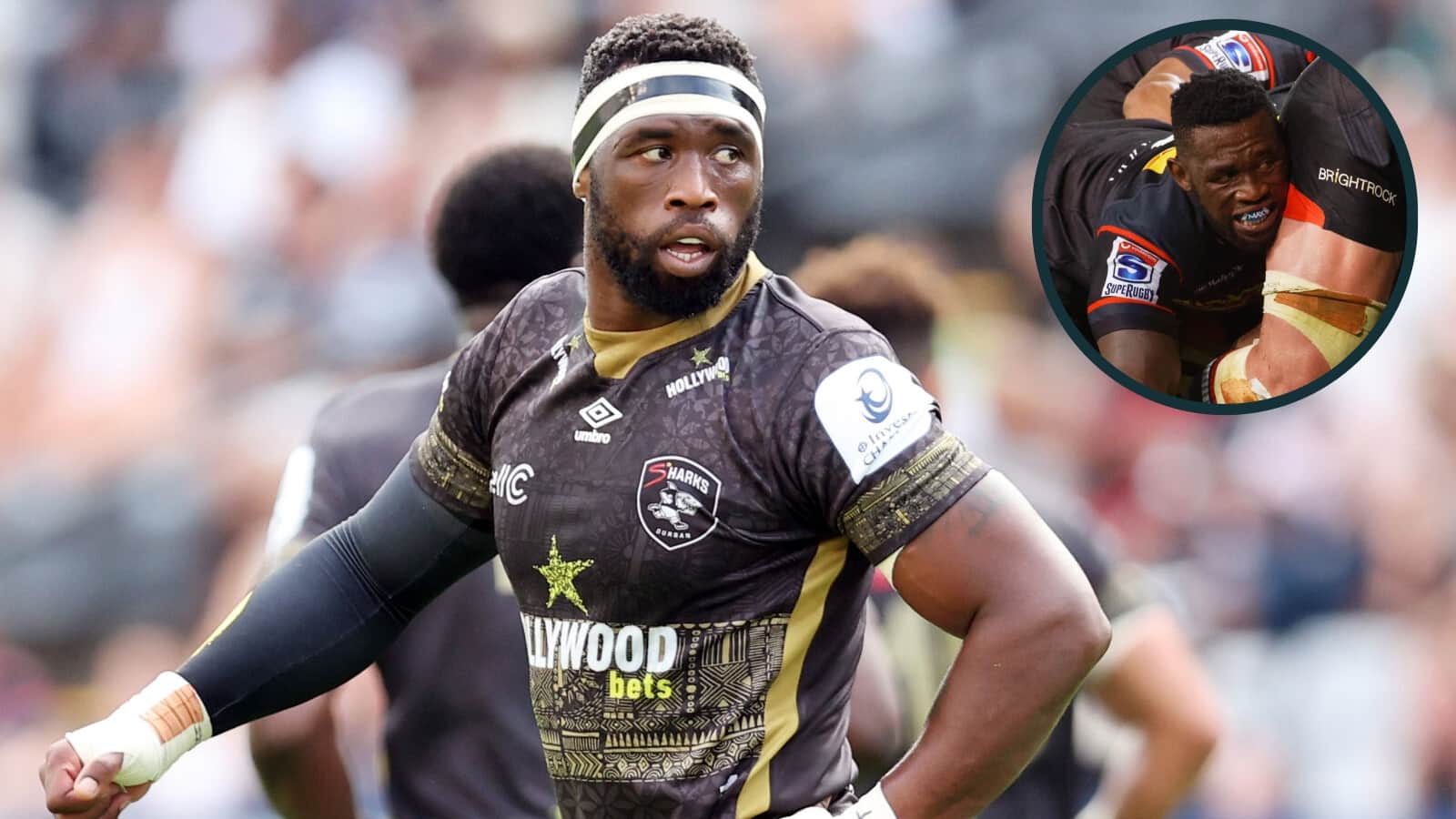 Siya Kolisi wanted to retire at Sharks but explains why is returning to Stormers