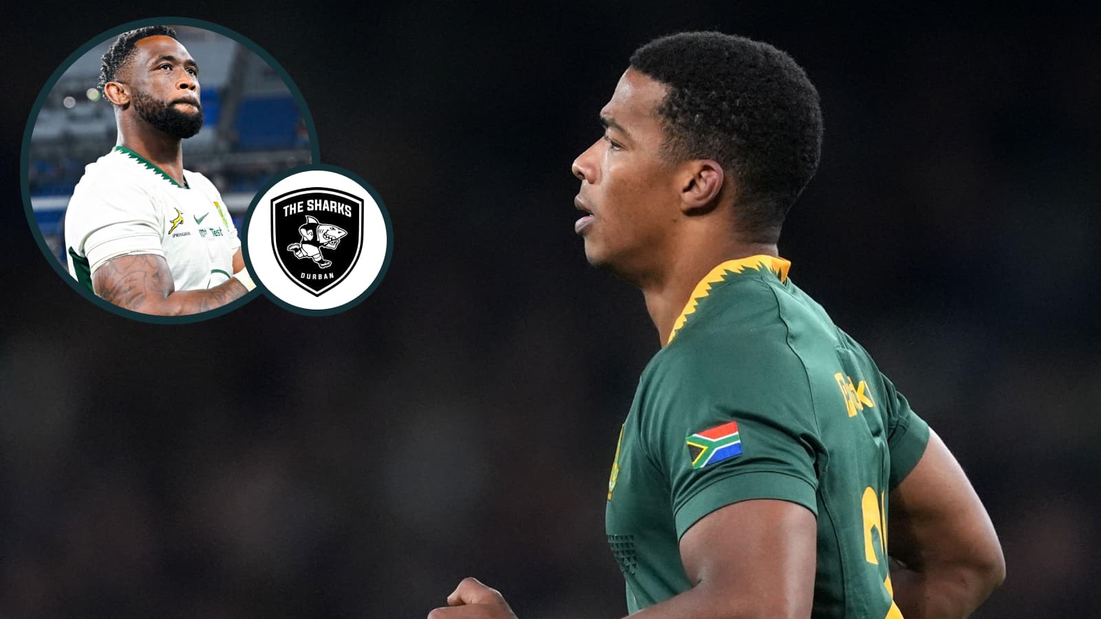 Sharks to lose Springboks star amid coach crisis while Siya Kolisi fields interest