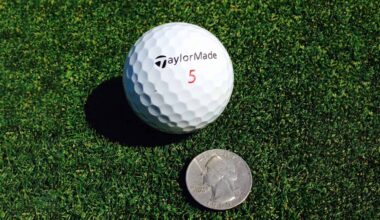 moving a golf ball marker
