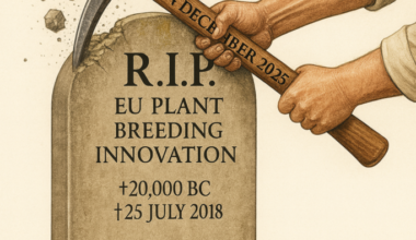 Europe’s New NGT Agreement: What the Trilogue Deal Means for Plant Breeding
