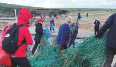 Wildlife trust announces annual New Year beach clean