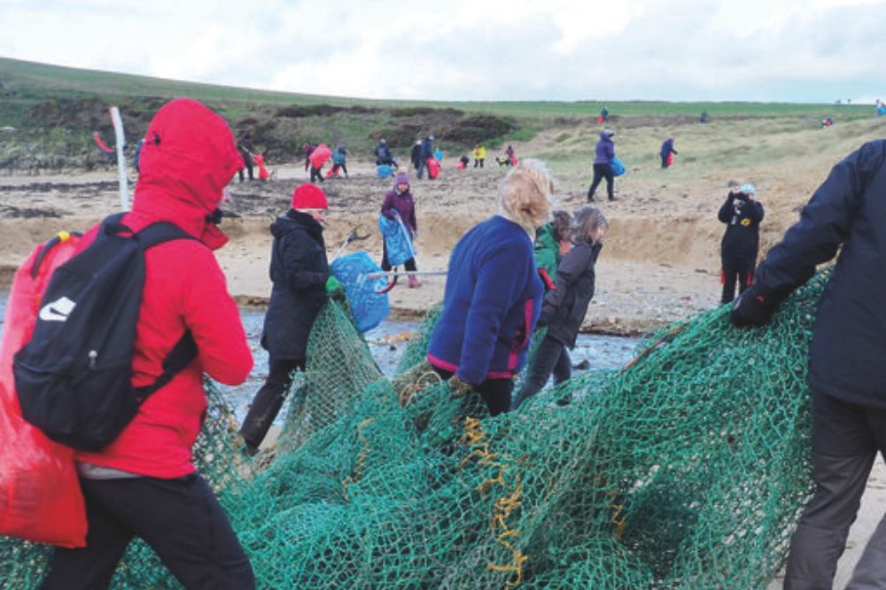 Wildlife trust announces annual New Year beach clean