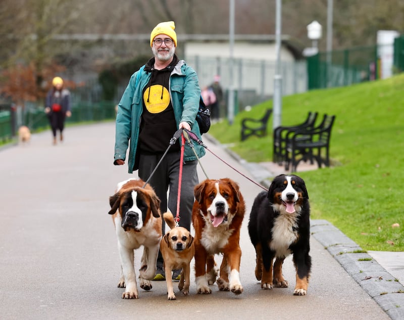 Jim Deeds organiser of Doggie danders celebrating its one year anniversary in Falls Park in west Belfast. PICTURE: MAL MCCANN