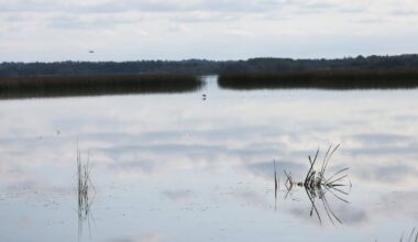 Companies face questions over water usage as new licence regulations take effect – The Irish Times