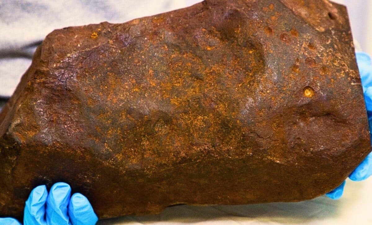 What He Thought Was Worthless Turned Out To Be Something Far Rarer Than Gold, Forged Long Before Earth Even Existed