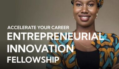 Call for Applications: Entrepreneurial Innovation Fellowship (Featuring