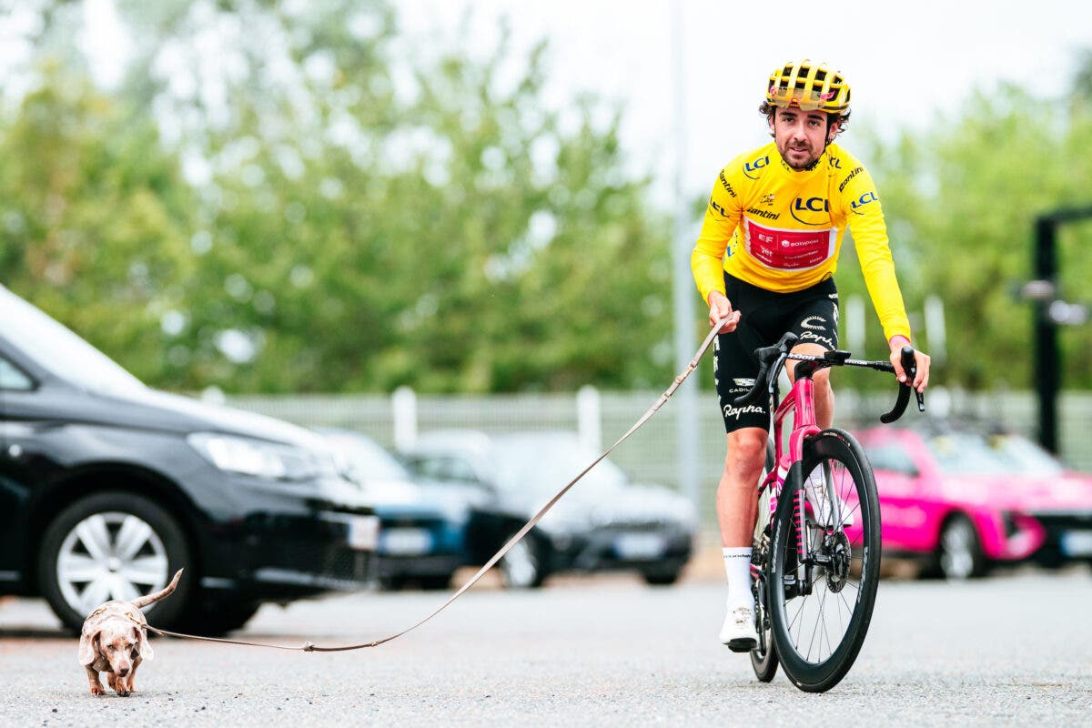 Healy breakout rider