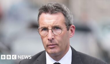 Bluetongue: Northern Ireland farmers face 'serious consequences' over disease