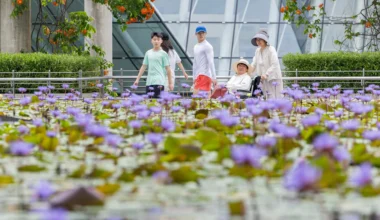 When SME owners delay succession planning, their business and family pay the price