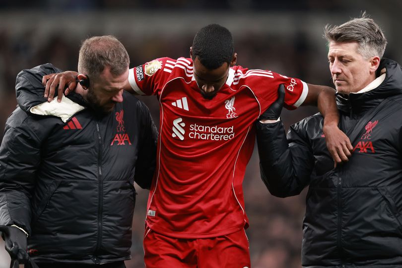 Download app from the App Store