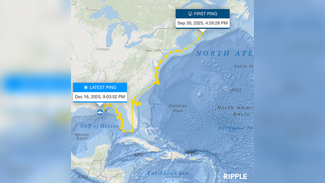 Ripple's recent ping off the coast of Louisiana as shown on OCEARCH's shark tracker.