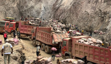 The hidden toll of green energy