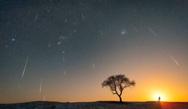 Streaks of white light from the Geminid meteor shower are seen across an orange and blue sunset night sky with a silhouette of a tree and person in the foreground