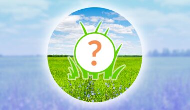 Pokémon GO Spotlight Hour for Tuesday, December 16th, 2025 – Nintendo Wire