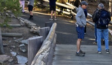 One Redditor shared an egregious example of tourists' underestimating the risks of the wild animal.