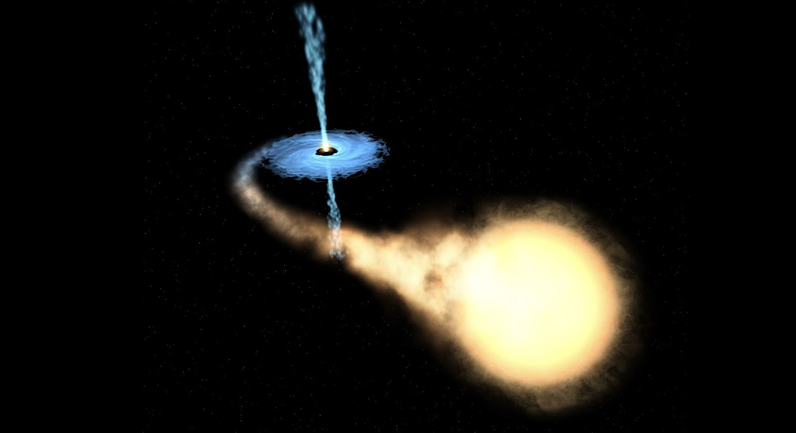 black hole accretion disk