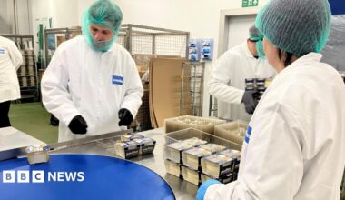 Together a man and a woman, wearing green hair nets and white overalls, are picking up tubs of clotted cream off the conveyor belt to be placed in trays at the end of the line