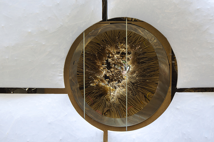 mirroring pillowed walls filled with reed grass compose sensory installation in montpellier