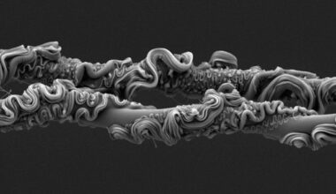 You'll Never Guess What Took First Place at the Royal Society's Photo Competition