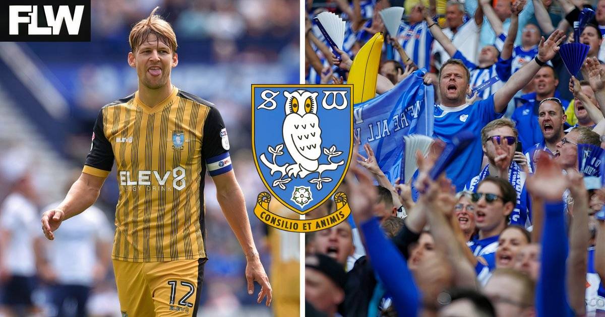 Sheffield Wednesday hit transfer gold with December transfer for 30-year-old
