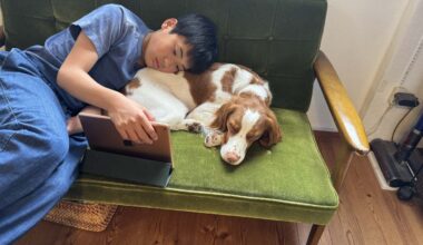 Having a Pet Dog Boosts Teenage Mental Health by ‘Changing Microbes in Their Bodies’