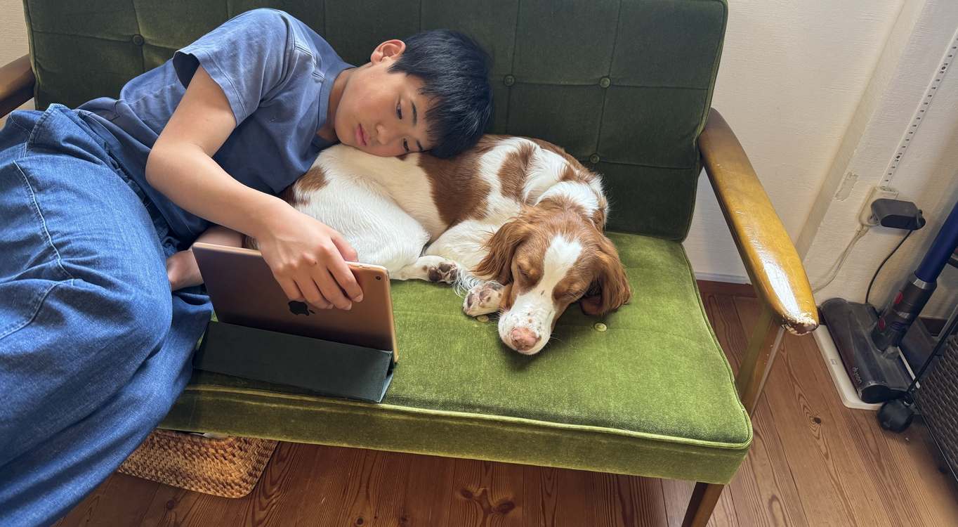 Having a Pet Dog Boosts Teenage Mental Health by ‘Changing Microbes in Their Bodies’