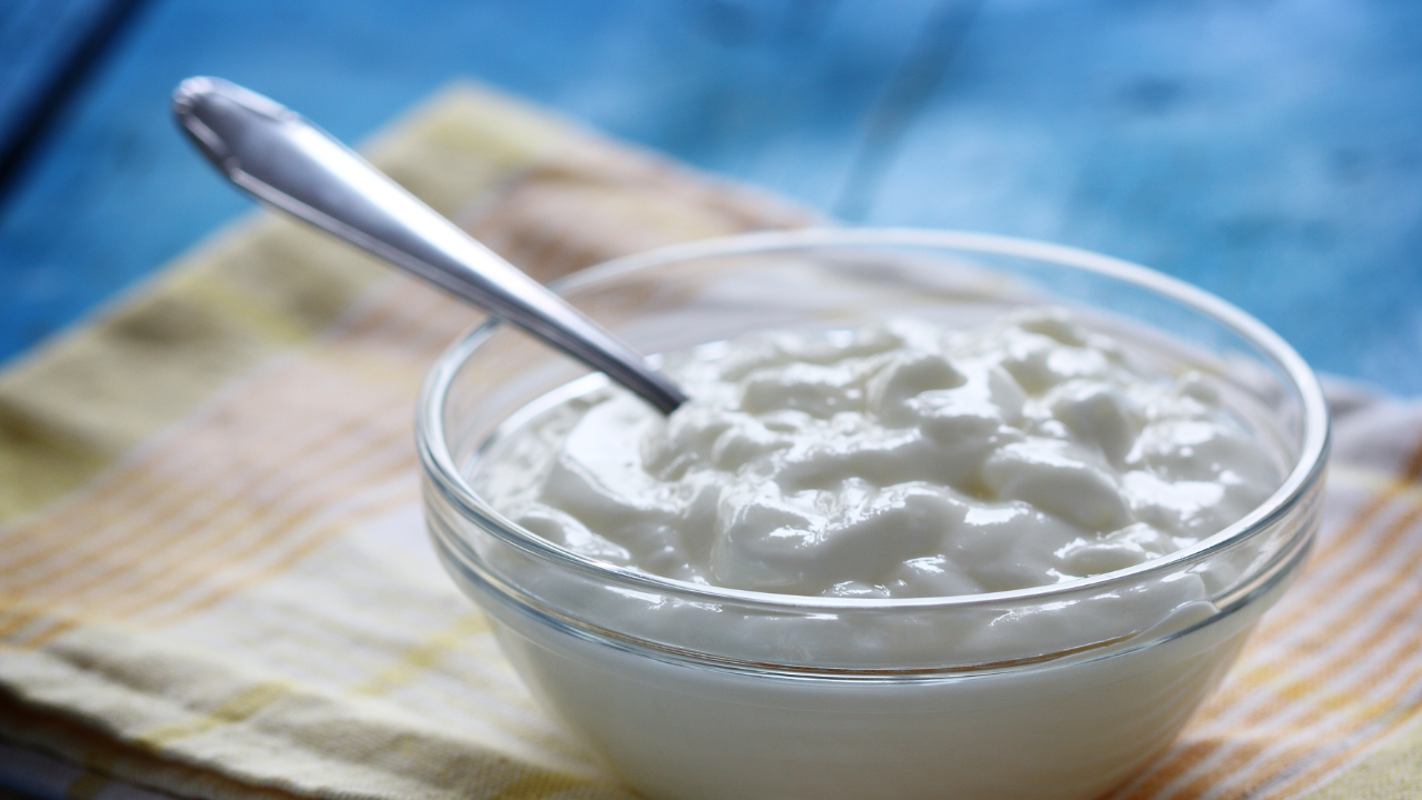 Curd and probiotics: Keeping the gut army alert