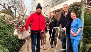 Northern Ireland Hospice going the extra mile for patients this Christmas