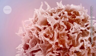 mRNA therapy turns back the clock