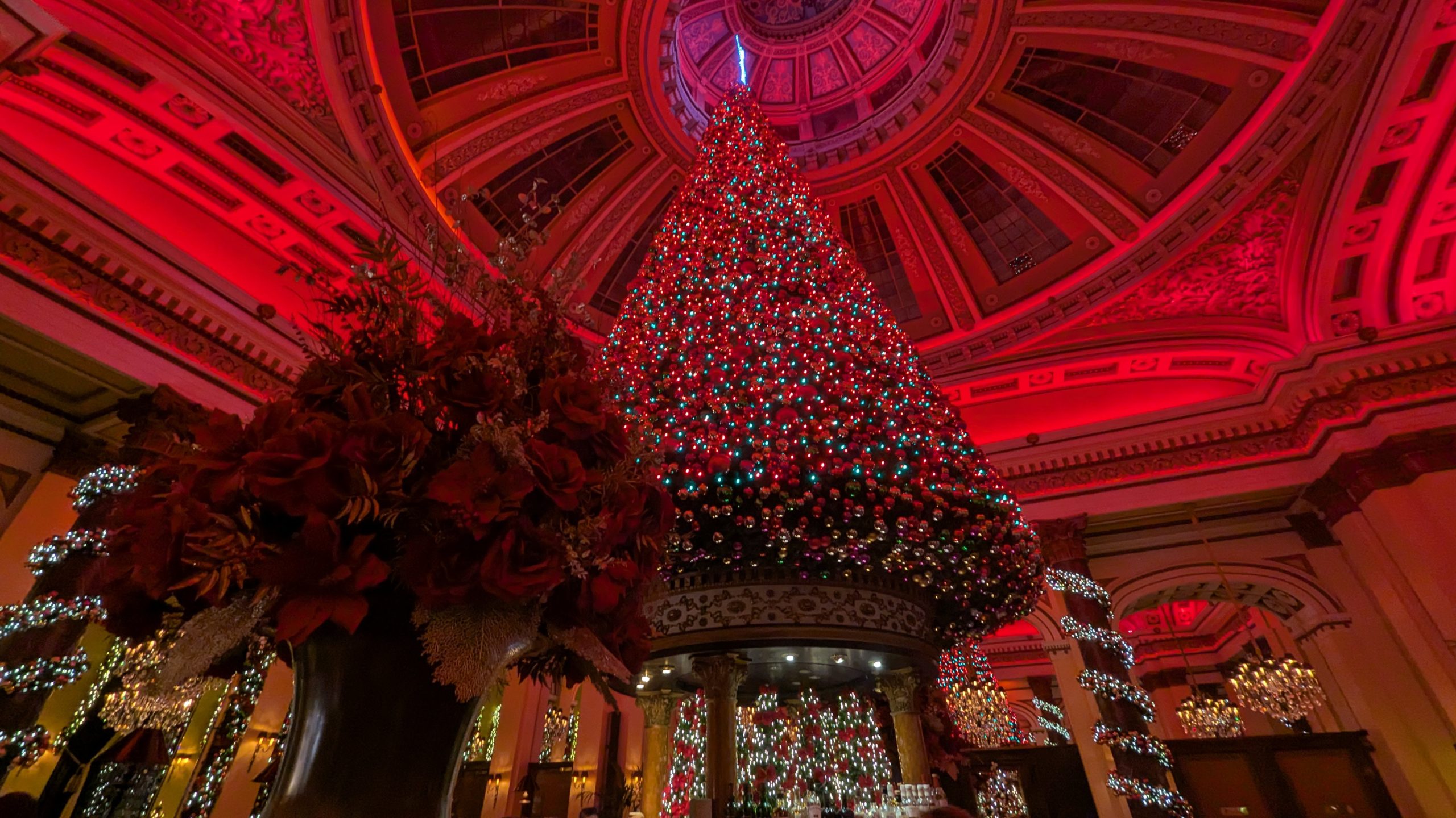 Christmas tree at the Dome