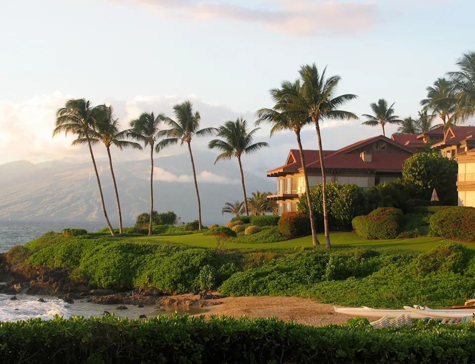 Oceanfront villa with palm trees and mountains in the background, conveying a sense of luxury and tranquility