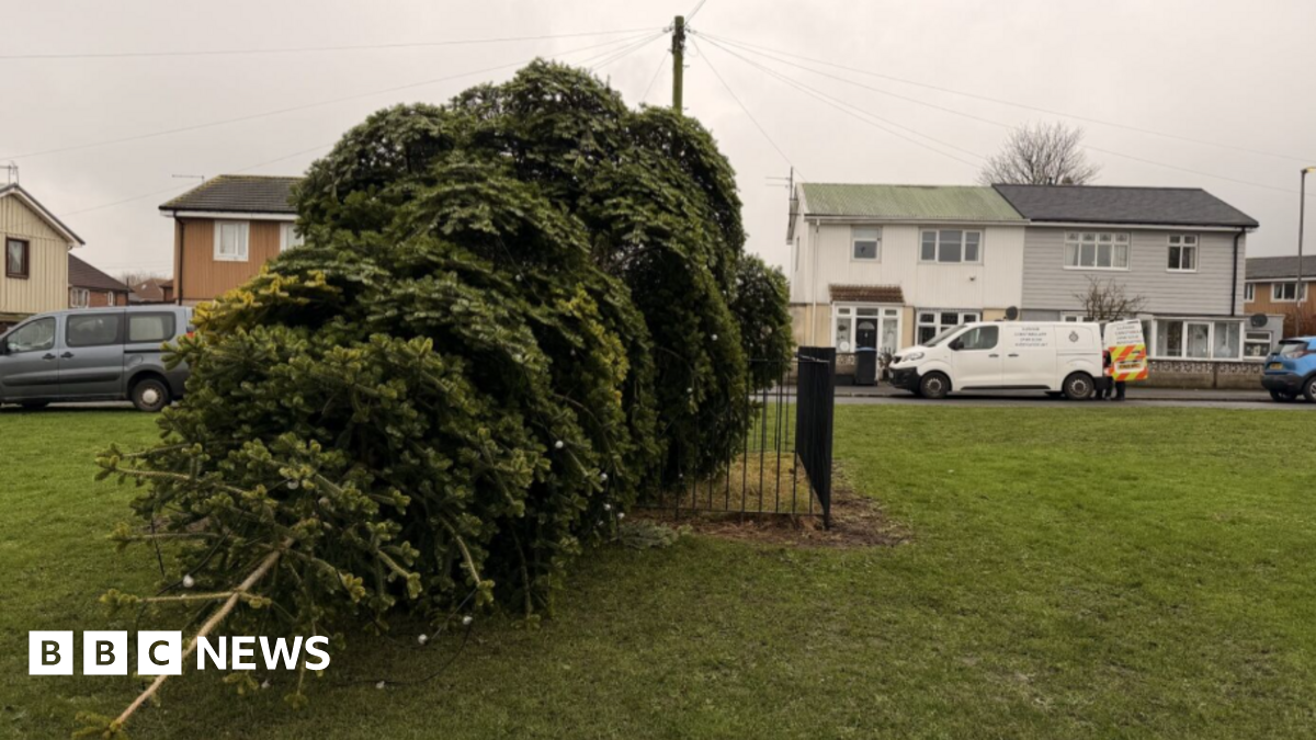 To the left of the image the felled tree is on its side. Houses and a police van can be seen in the background.