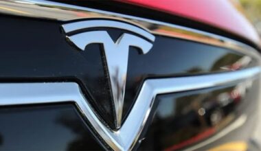 New Age | Tesla having a very bad year in the European Union