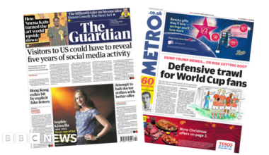 'Trawl for World Cup fans' and 'women's champion' peerage