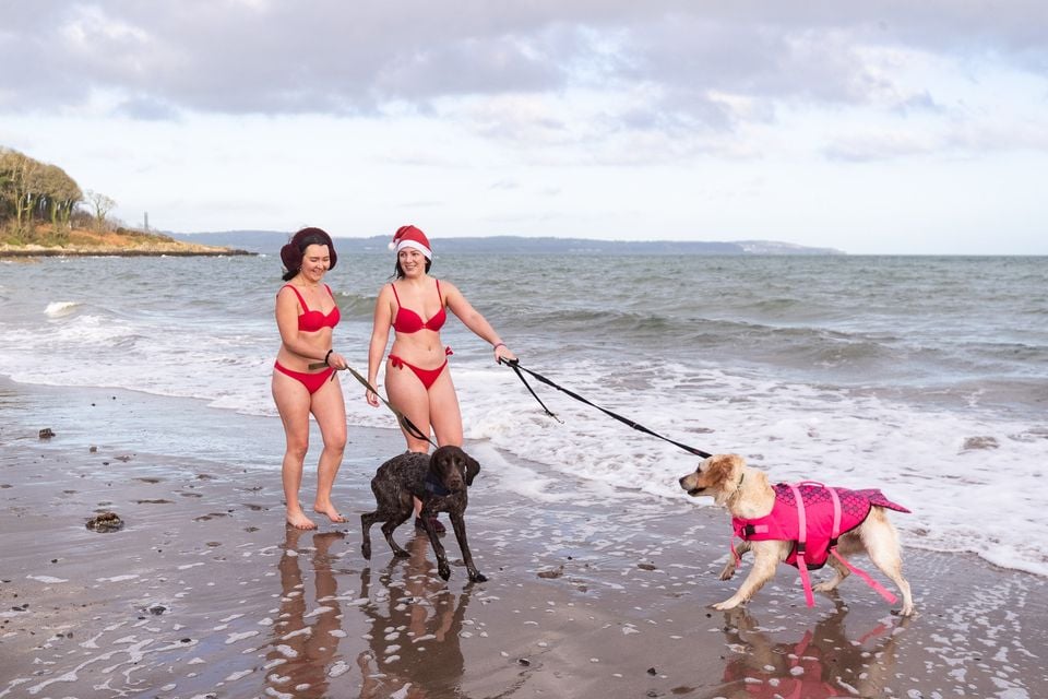 Stephanie Finnegan with dog Summer and Emma Cole with her dog Hugo at Helen’s Bay on 24th December 2025 (Luke Jervis/Belfast Telegraph)