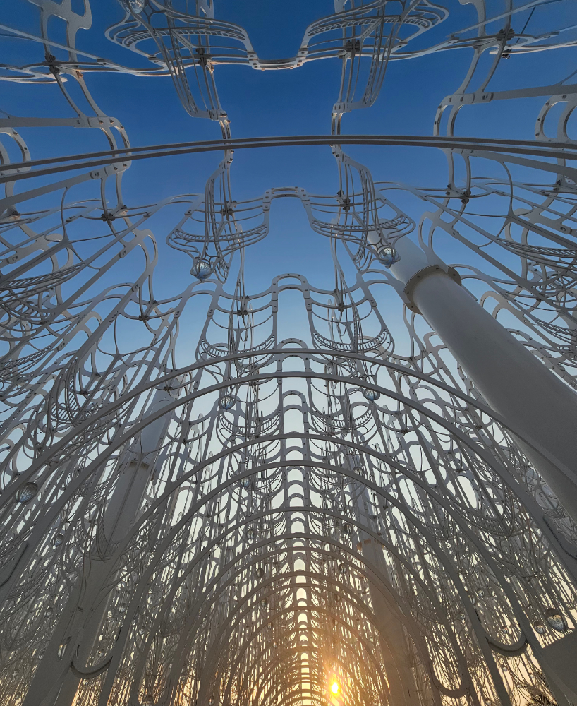 cloud-like white canopy of hanging vines emerges from abu dhabi’s arid landscape